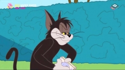 انیمیشن تام و جری 2018 فصل 2 قسمت 54 - Tom and Jerri